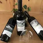 מלון Venter Bergwelt וונט