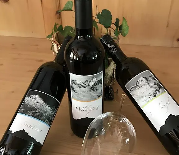 Szálloda Venter Bergwelt Vent